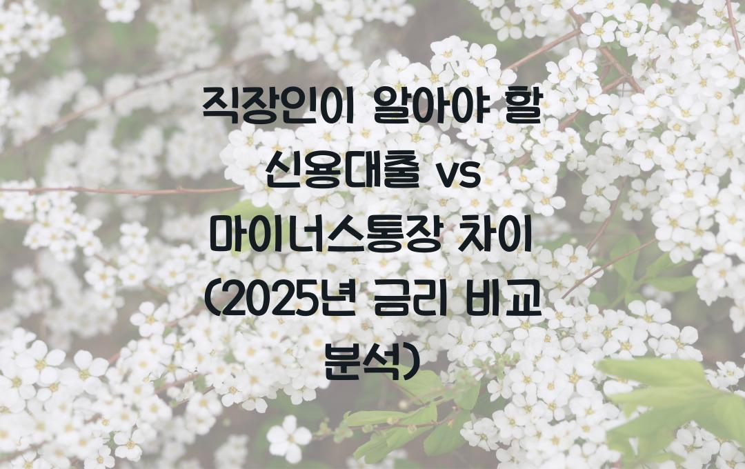 직장인이 알아야 할 신용대출 vs 마이너스통장 차이 (금리 비교 분석)