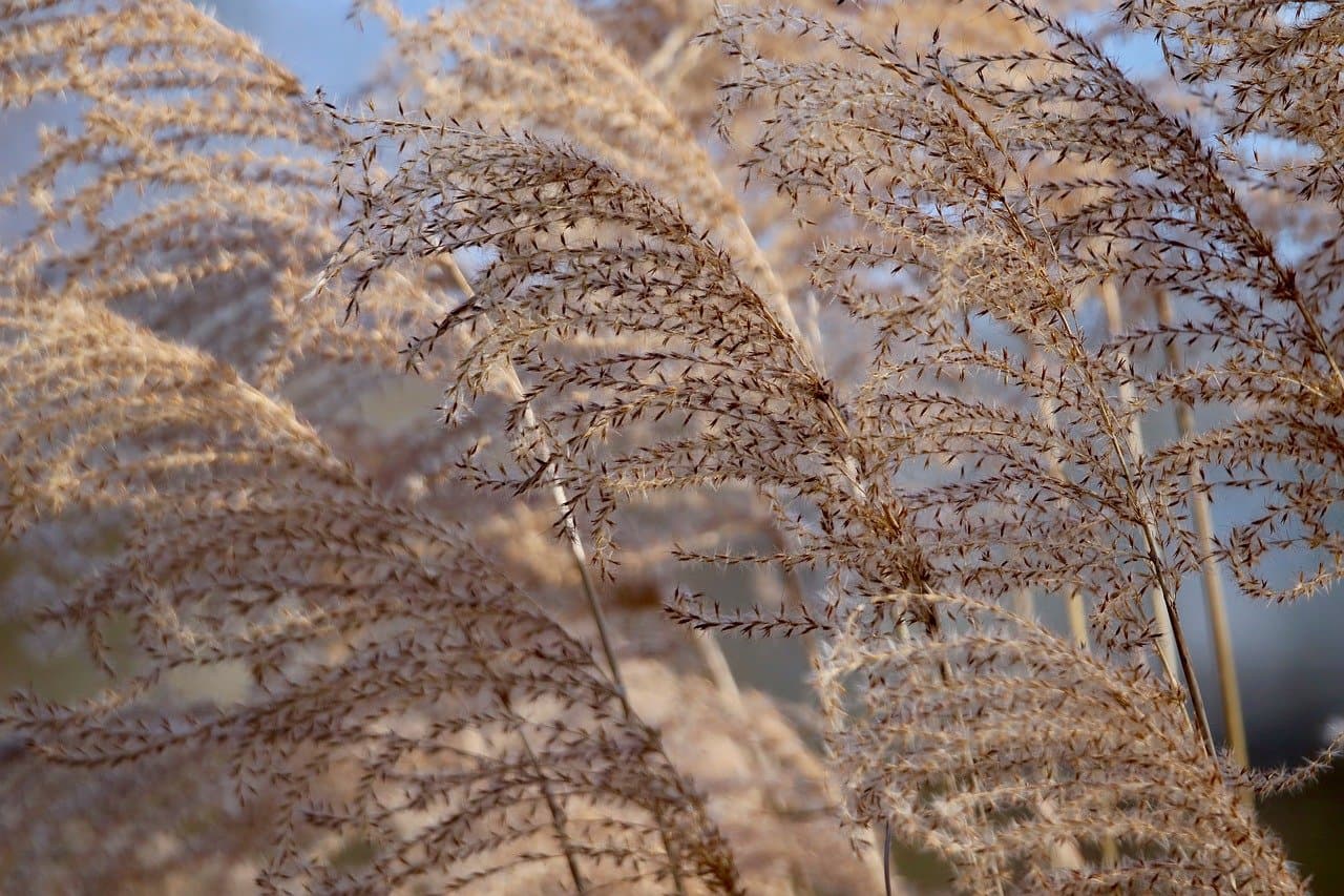 인공지능 기술의 폭발적 성장, 윤리는 따라갈 수 있을까?