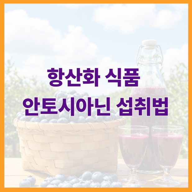 블루베리 농장에 수확한 블루베리가 바구니 한가득 담겨있고 쥬스도 함께 있는 장면. 눈, 혈관, 인지력에 항산화까지, 안토시아닌 식품과 섭취법 총정리