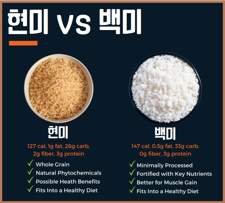 현미 백미 차이점