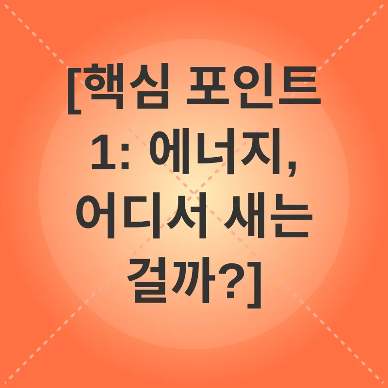 에너지 관리_1