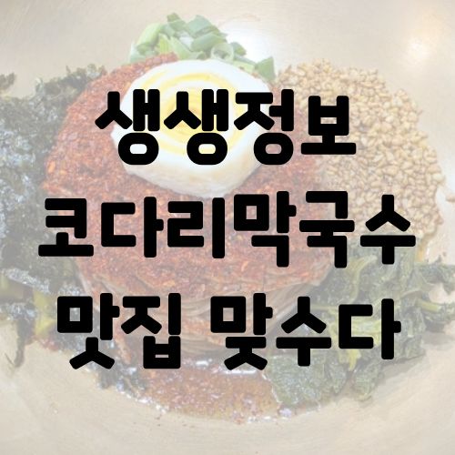 생생정보 코다리막국수 맛집 맞수다
