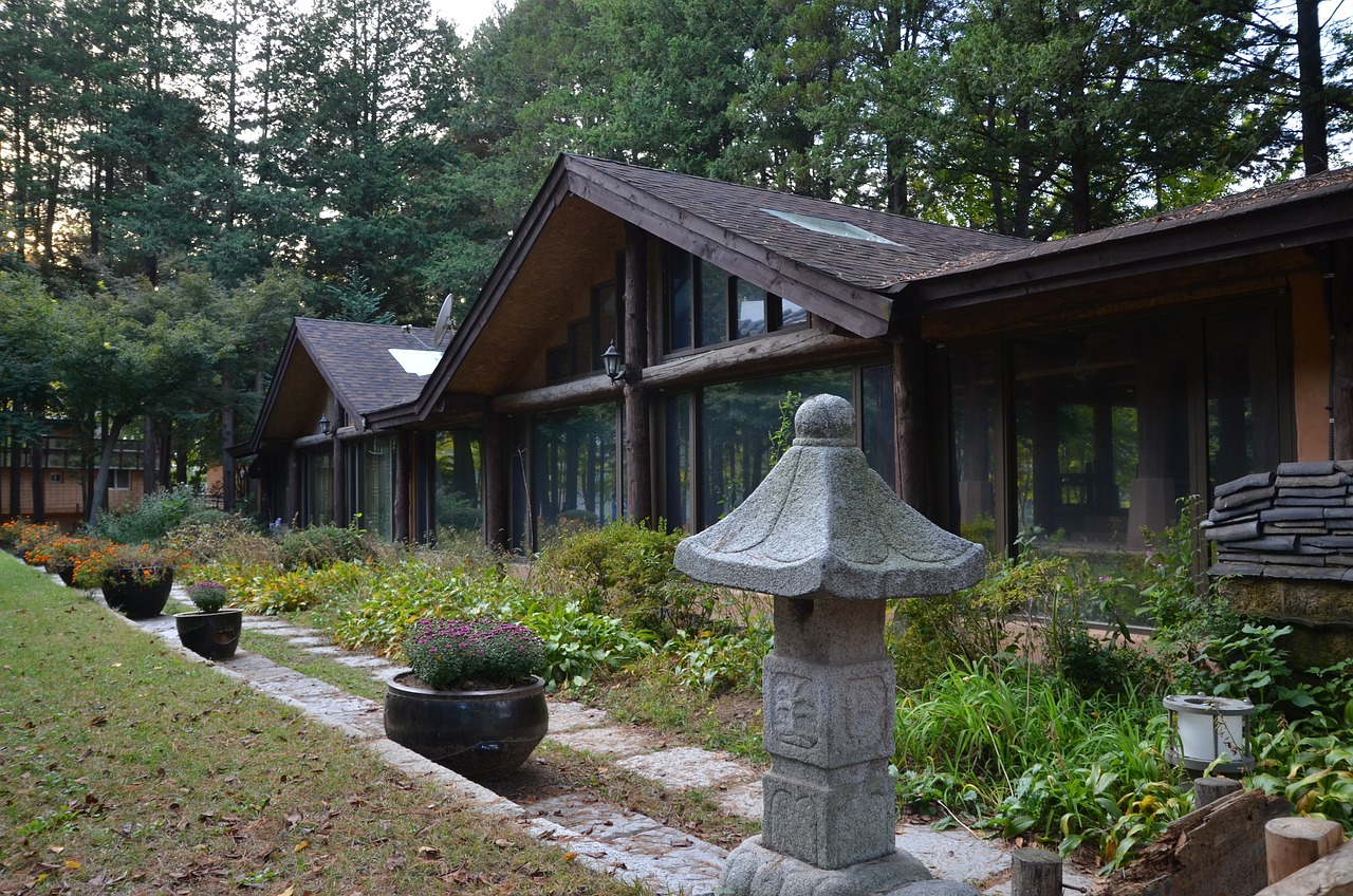 남이섬 관련 사진