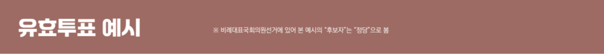 선거 유효표와 무효표