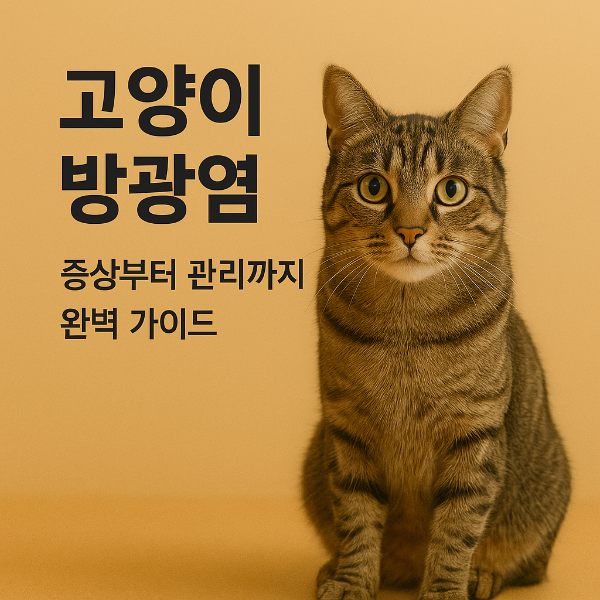 고양이 방광염