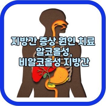 지방간 증상 원인 치료 알코올성, 비알코올성 지방간