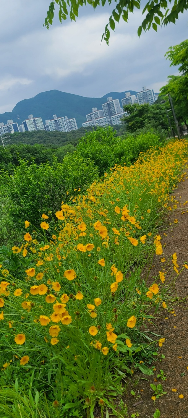 초막골생태공원 호수로 가는 길
