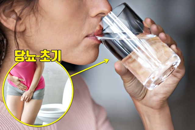 당뇨 초기증상 갈증,이상 식탐 식욕,건강 팁줌 매일꿀정보