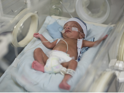 2025 새마을금고 아기뱀 적금 이자 계산 특판 적금 총정리