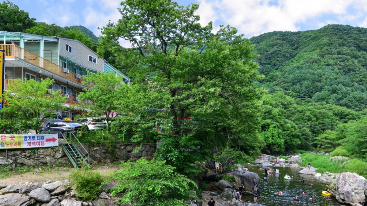 Yongchu Valley Travel Pension