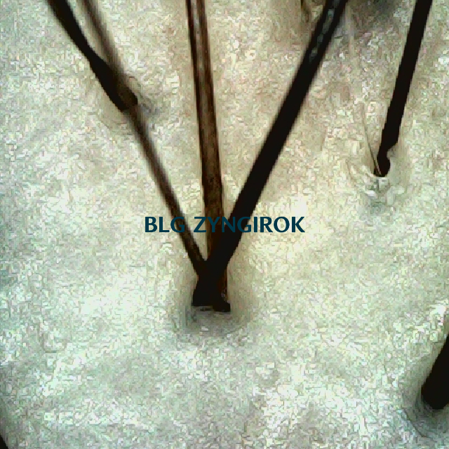 피나모아 복용 19주차 - 정수리 위치 두피 모습이다.