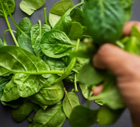 비타민E가 많은 음식