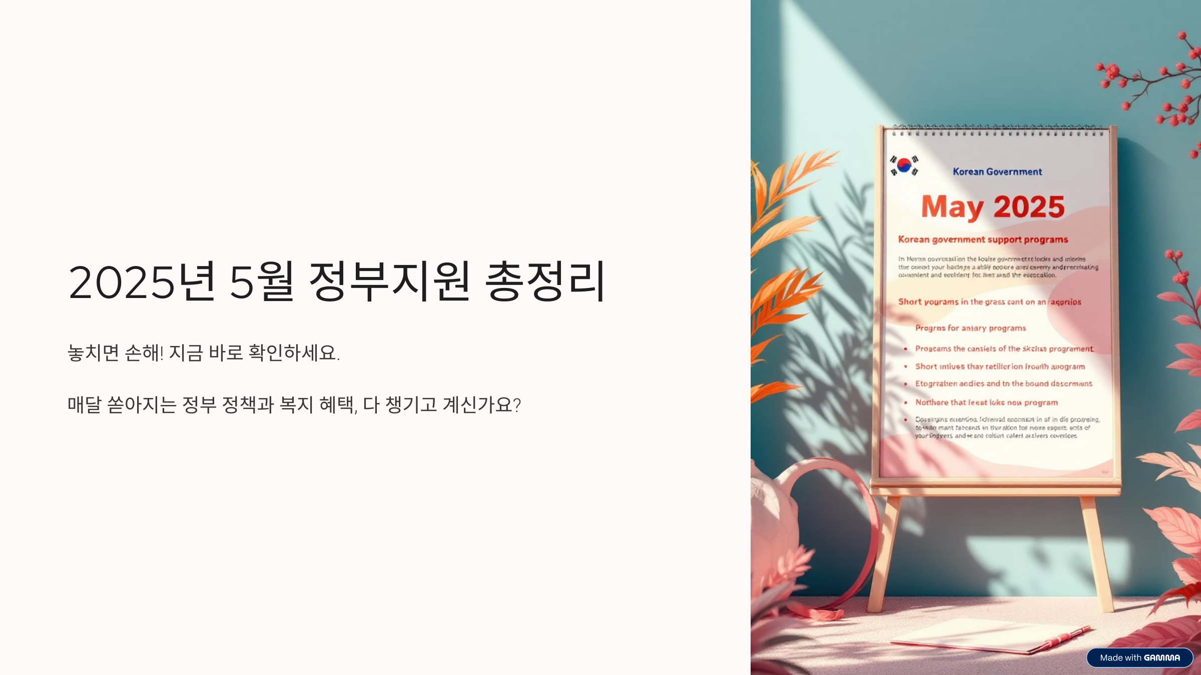 2025년 5월 정부지원 정책