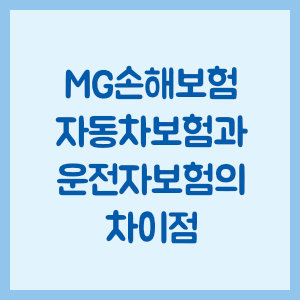 MG손해보험 자동차보험과 운전자보험의 차이점
