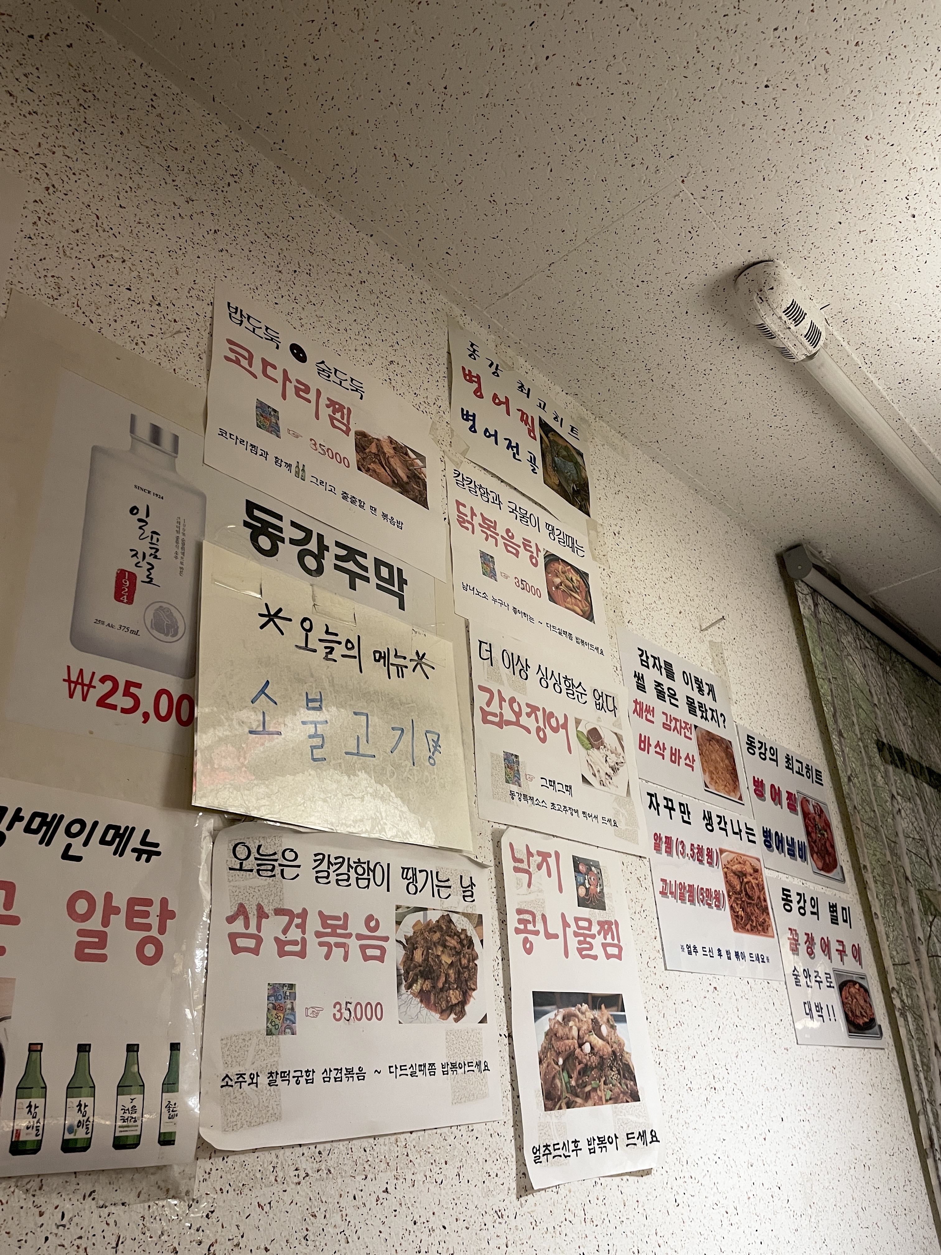 윤남노 셰프 단골 호프 !! 동묘앞 병어찜 맛집 동강주막호프 💰 내돈내산 💰
