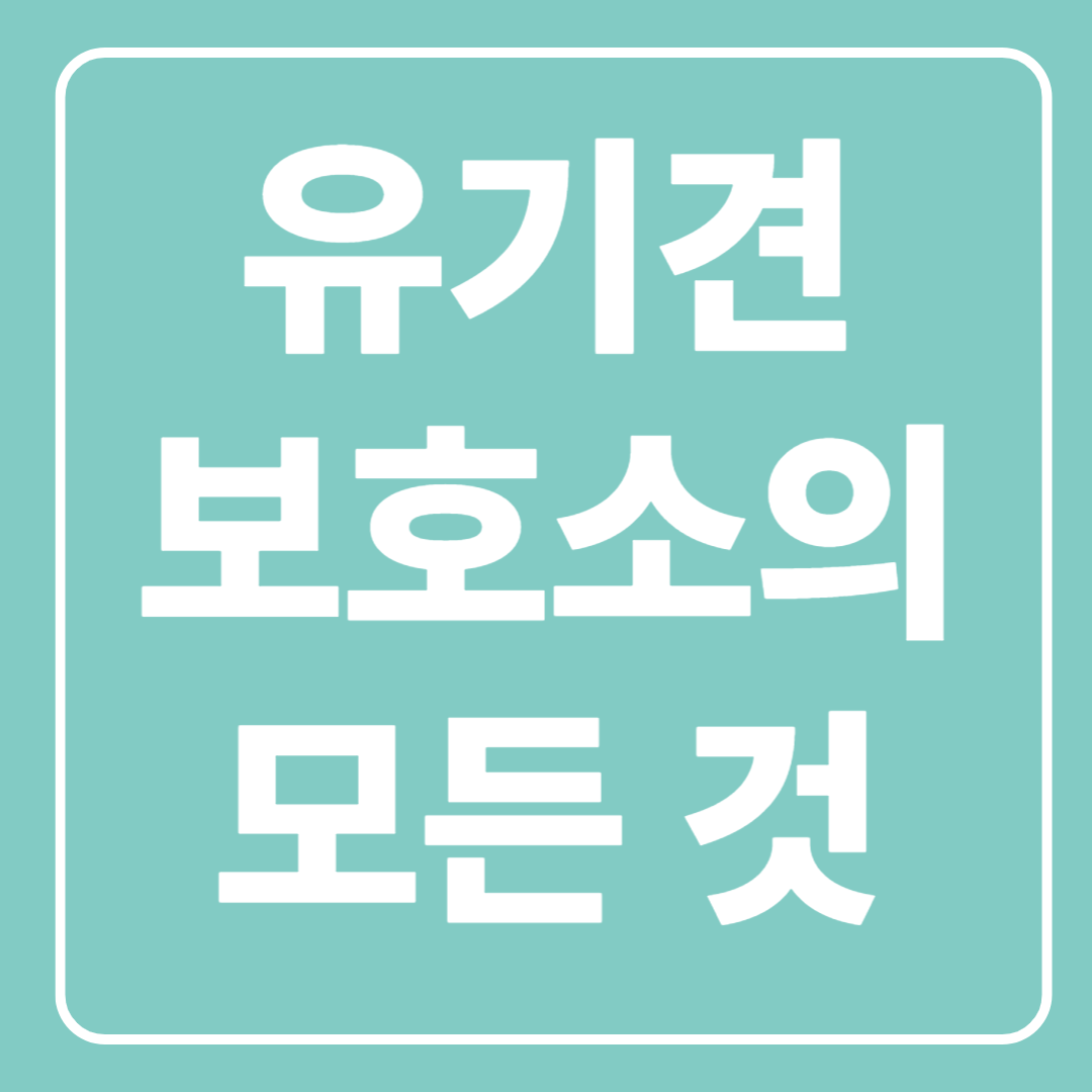 유기견 무료 입양