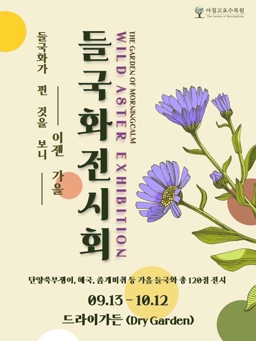 아침고요수목원 들국화, 아침고요수목원 전시회, 들국화 전시회, 가을 꽃 축제, 가평 가을 축제, 아침고요 가을 행사, 가평 가을꽃, 경기도 가을 축제, 가을 전시 추천, 아침고요 특별전