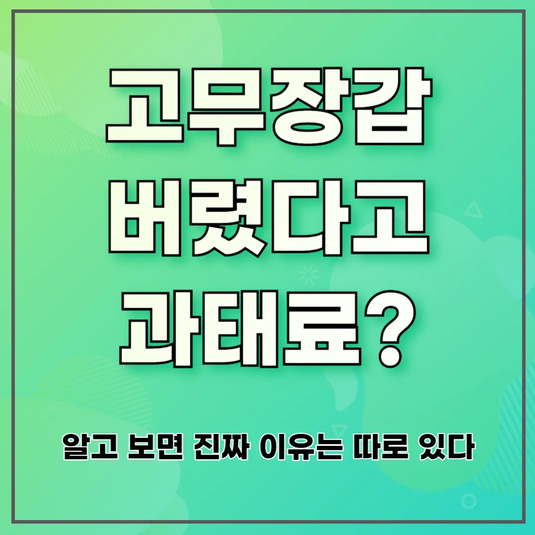 고무장갑 버렸다고 과태료? ❘ 알고 보면 진짜 이유는 따로 있다