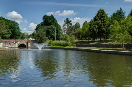 청와대-관람신청