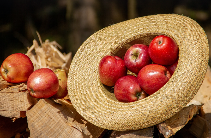 아침사과-금-저녁사과-독-소화-변비-혈당조절-다이어트-면역력-혈관