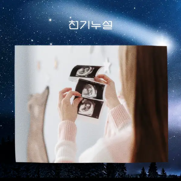 임신하는 꿈 해몽