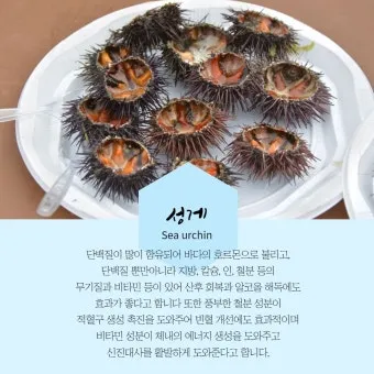 여름철 제철 해산물 추천 리스트 및 요리 활용법 안내_5