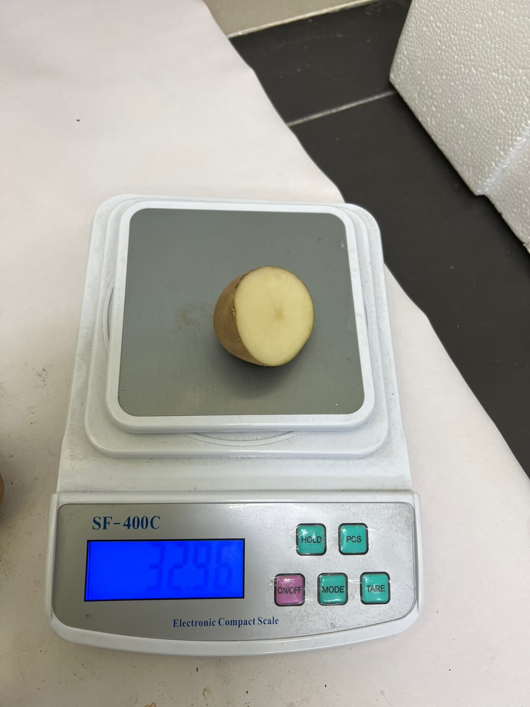 절단 후 씨감자 무게 약 30g