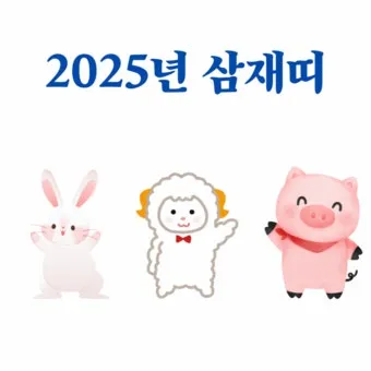 2025년 삼제띠 들삼재 눌삼재 날삼재에 대한 정보_2