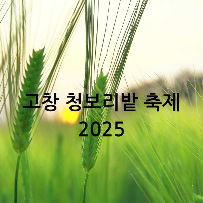 고창 청보리밭 축제 2025