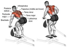T-bar row