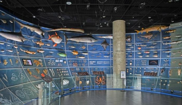 국립해양생물자원관