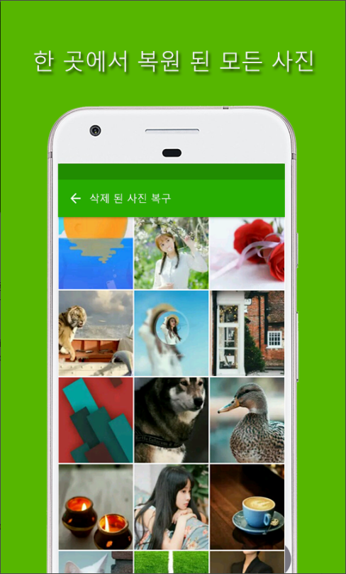 삭제 된 사진 복구, 핸드폰 사진 복구, 사진 복원, 모든 이미지 유형 복원, jpg, jpeg, png, gif