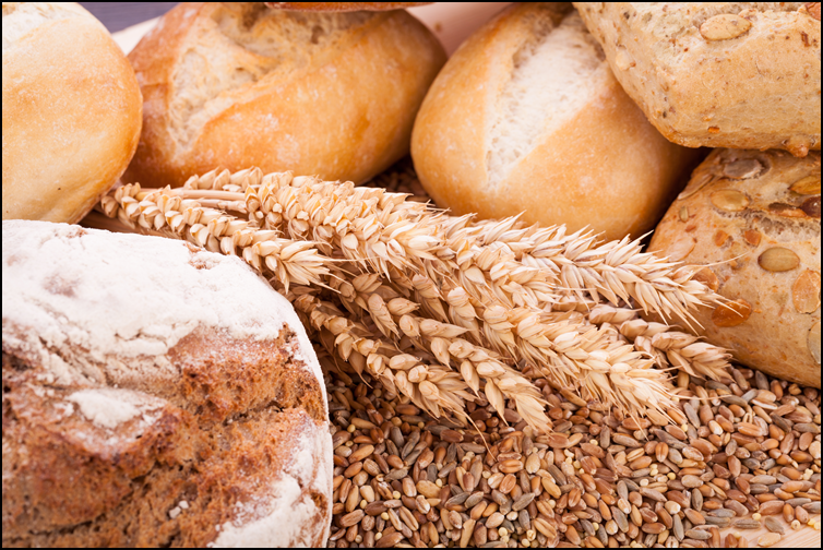 탄수화물은 정말 피해야 할까? 다이어트와 탄수화물의 관계