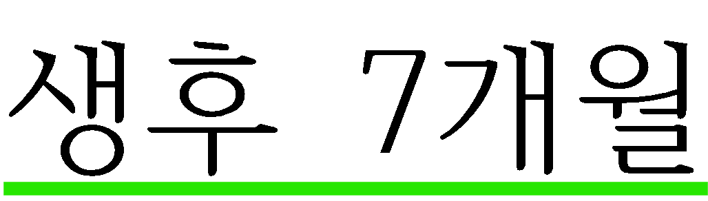 생후 7개월