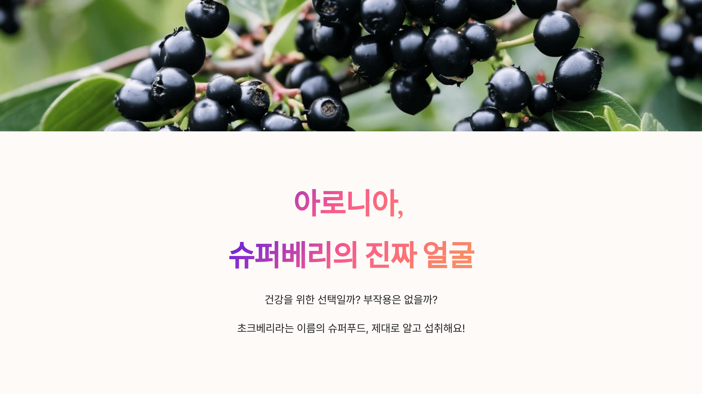 아로니아 사진입니다.