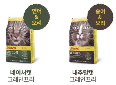 요세라캣