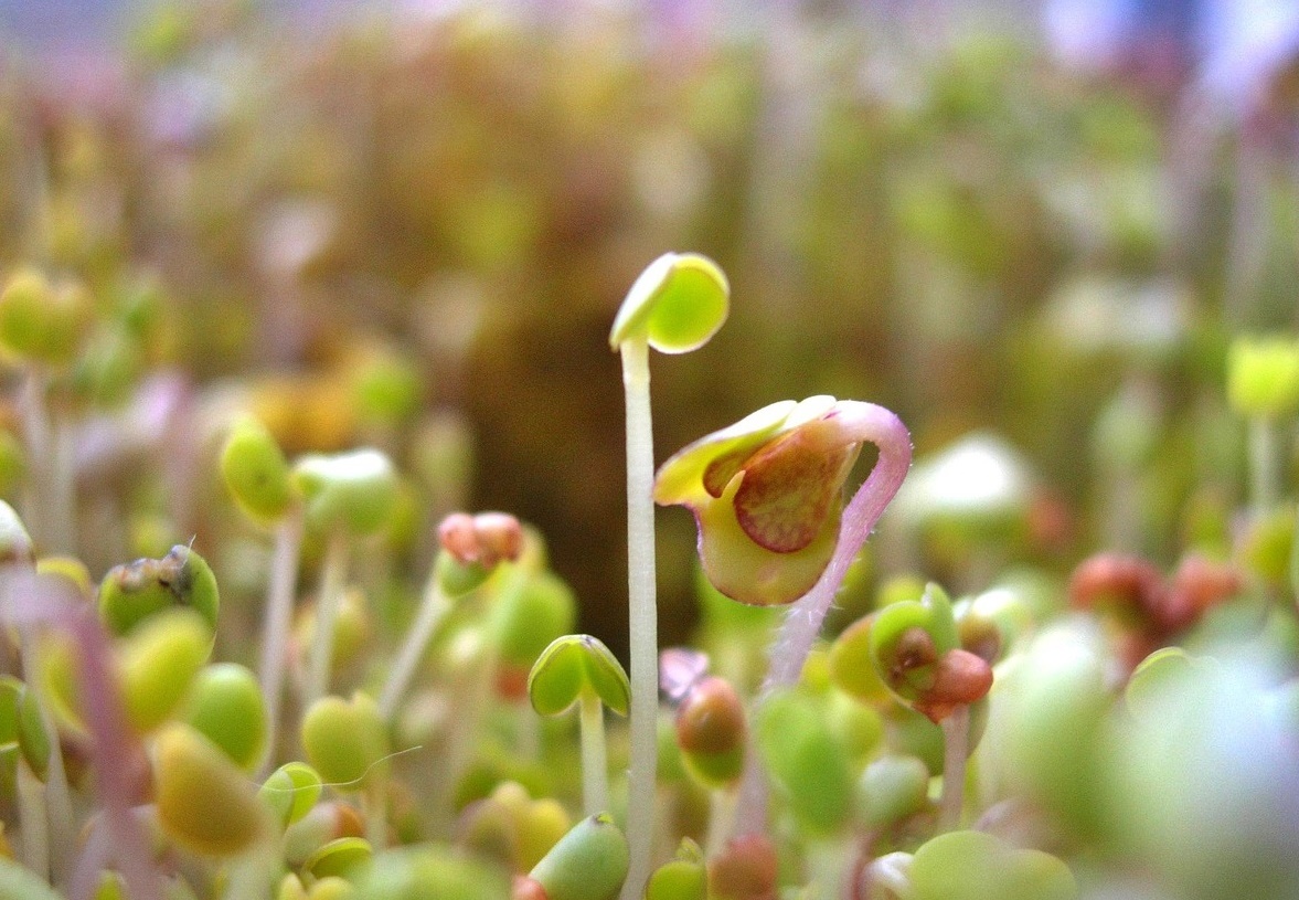 혈당보다 먼저 무너지는 장기들! 당뇨 전단계에서 시작된 &lsquo;침묵의 손상&rsquo;
