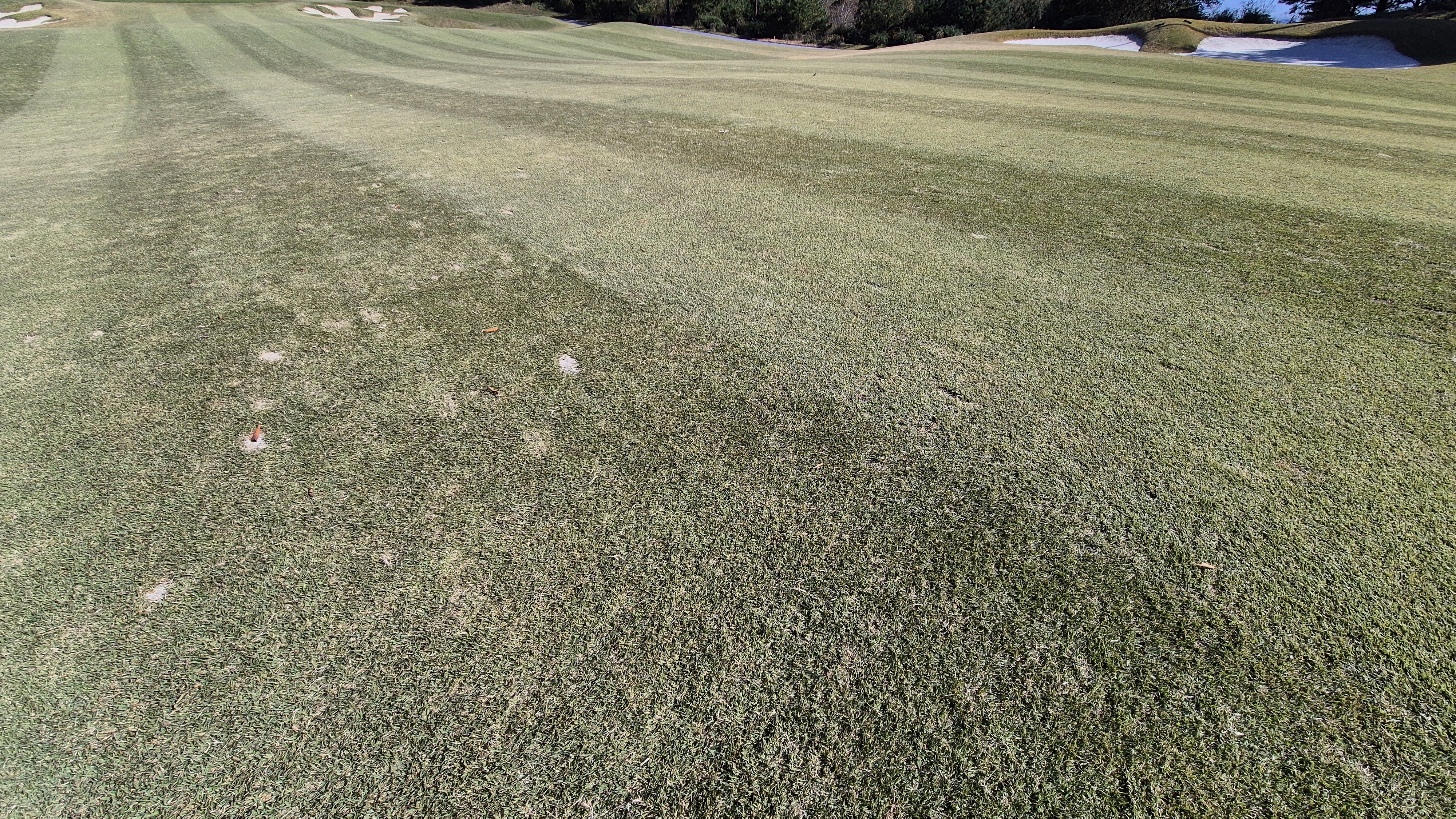 동촌gc 코스난이도