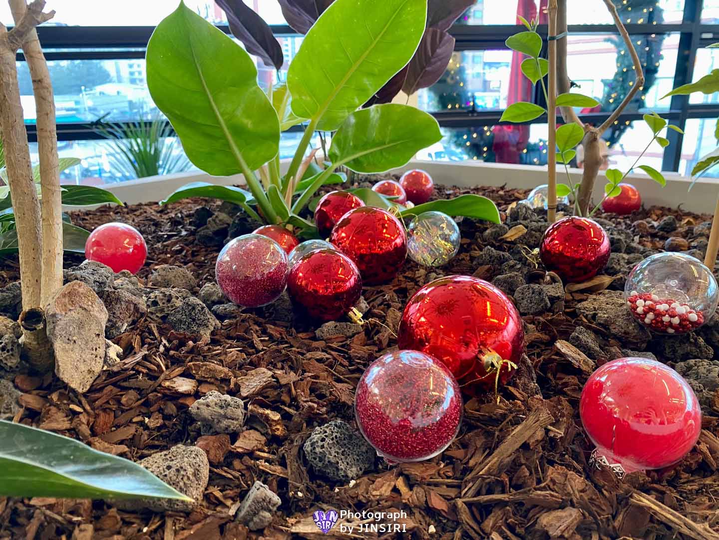 ๊นํฌ ํ๋์์ธ๋ ๋ฒ ์ด์ปค๋ฆฌ ๋ํ์นดํ ์์ธ๊ทผ๊ต ๋๋ผ์ด๋ธ ๋นต์