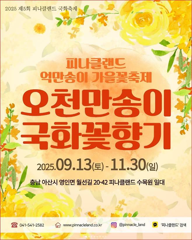 피나클랜드 불꽃놀이