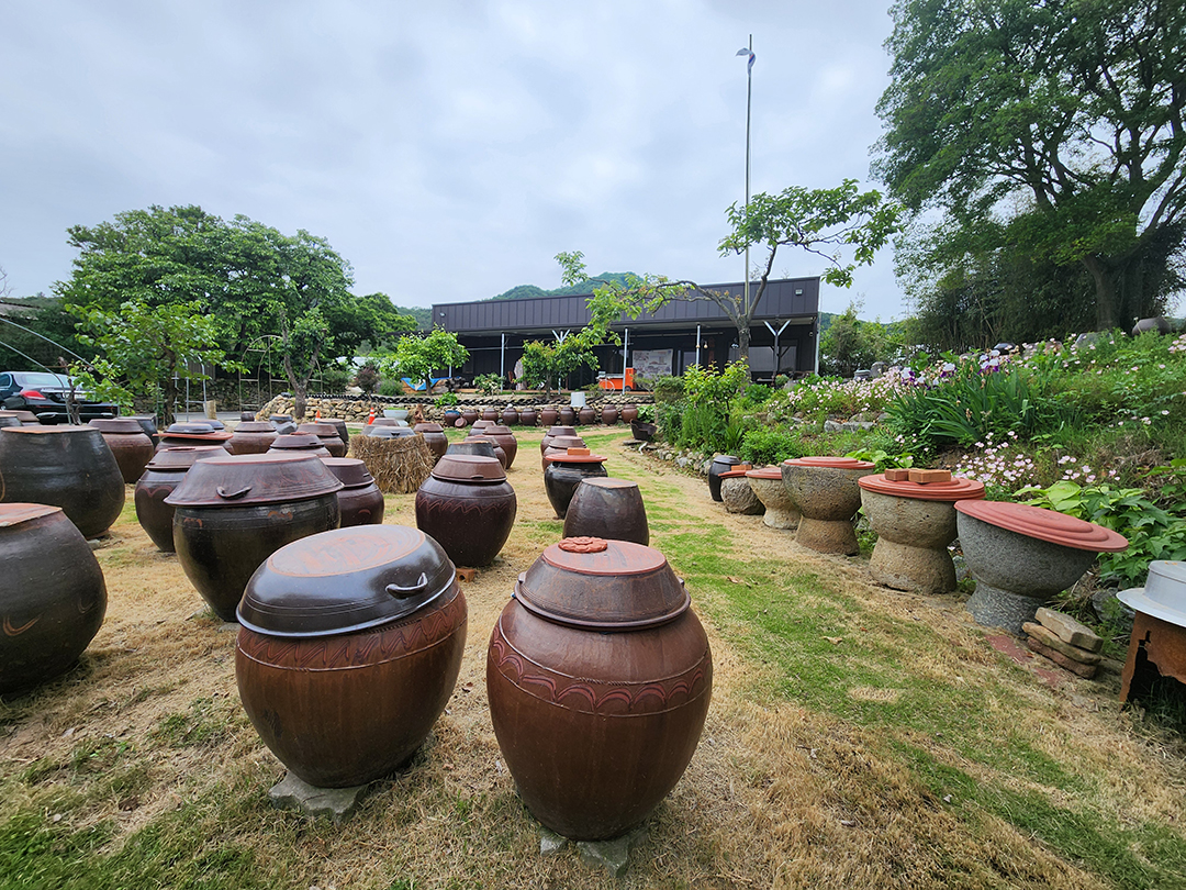 청년 취업 지원 제도