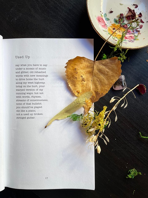 시집 감상 관련 사진