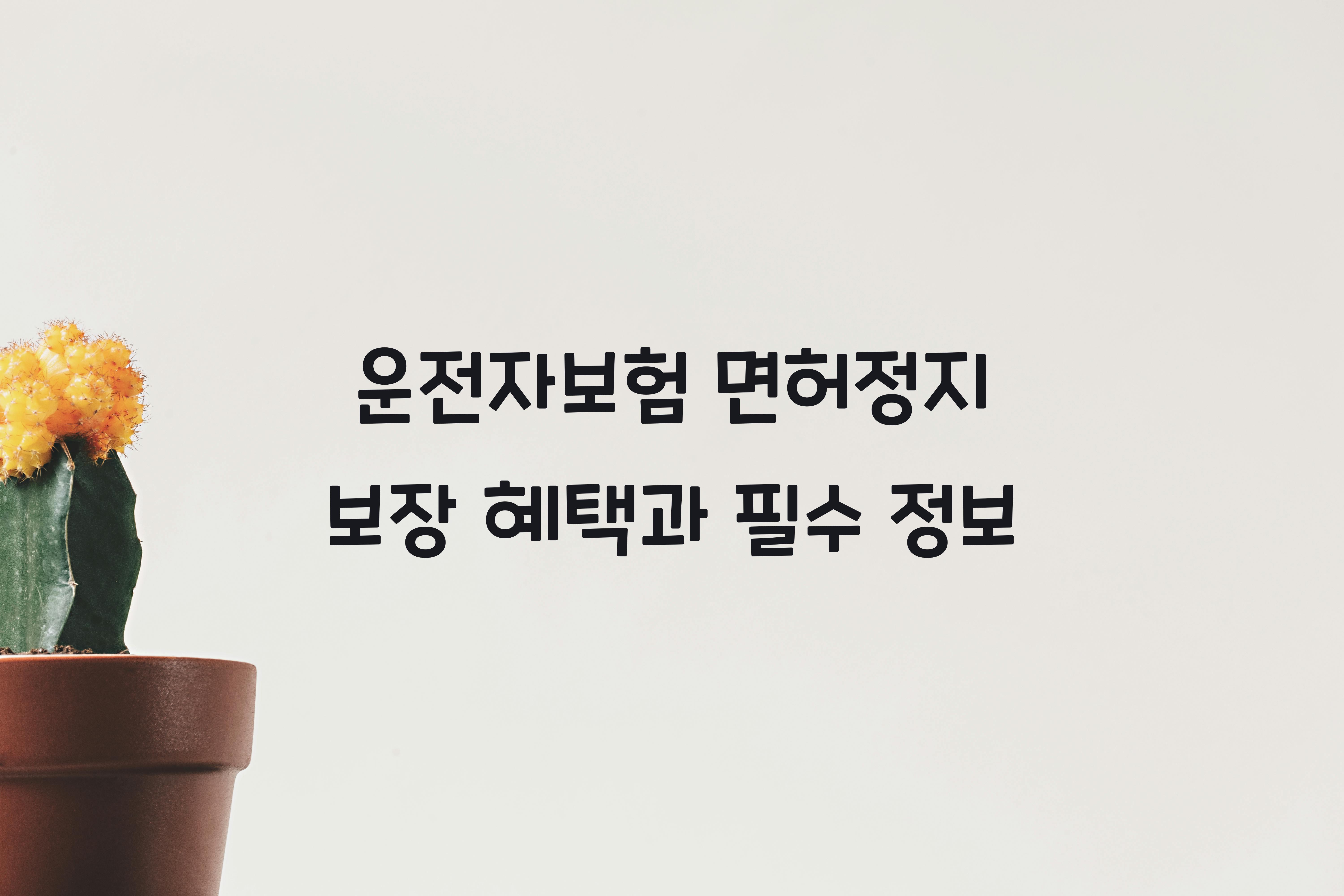 운전자보험 면허정지 보장