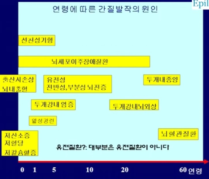 연령별간질발작원인