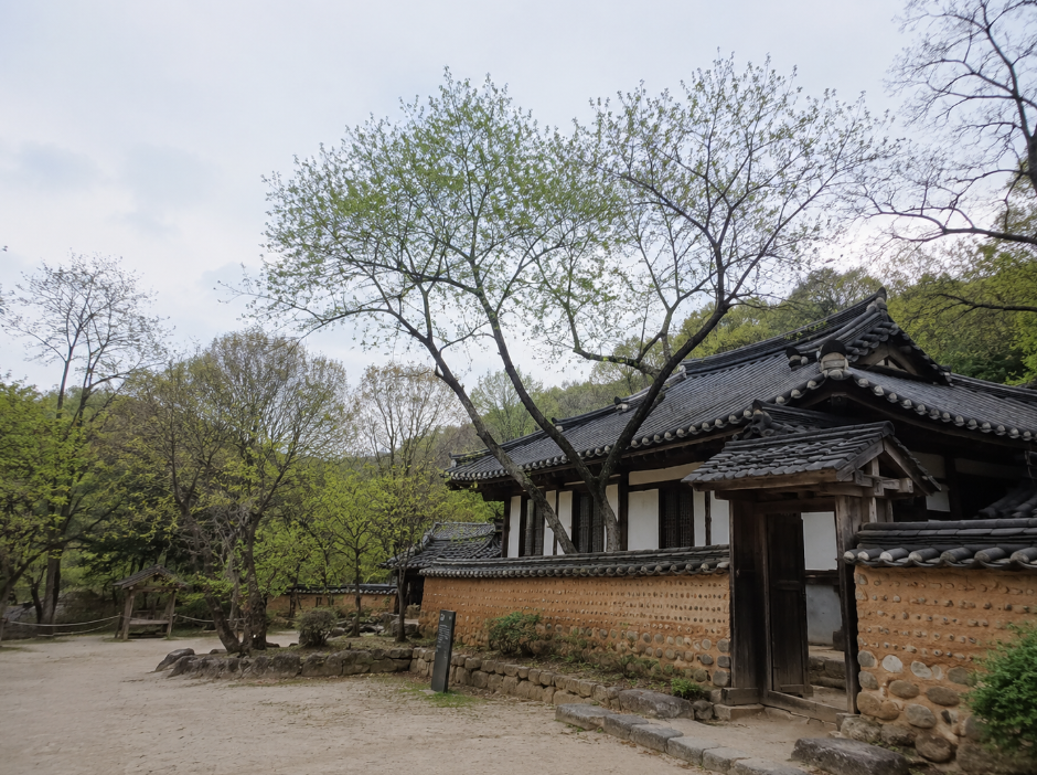 남양주 다산유적지 정약용 생가와 담장 주변 봄 풍경