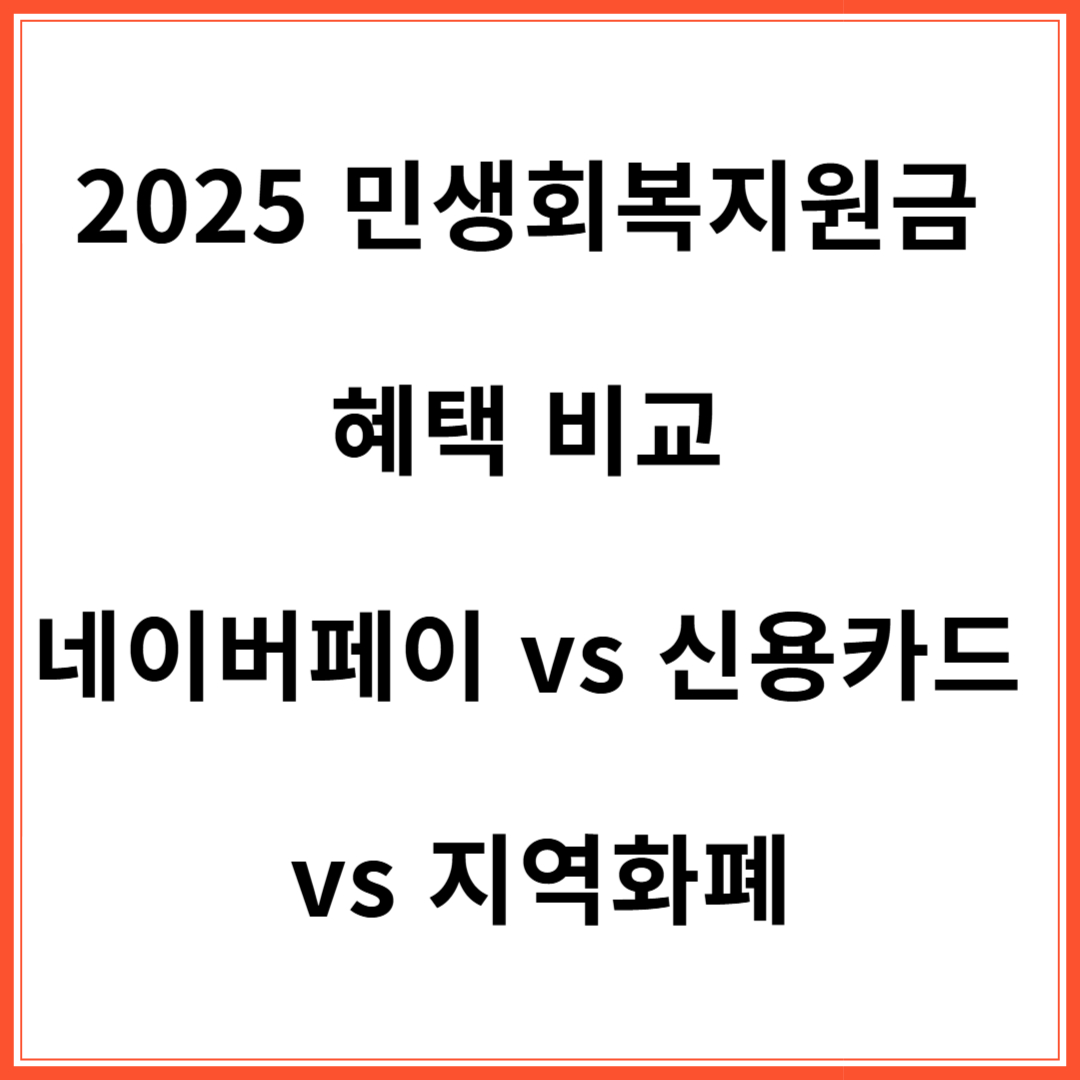 2025 민생회복지원금 혜택 비교