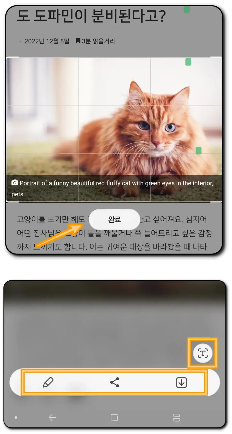 스마트셀렉트-캡처