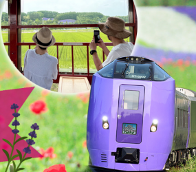 jr-특급-라벤더-열차-사진