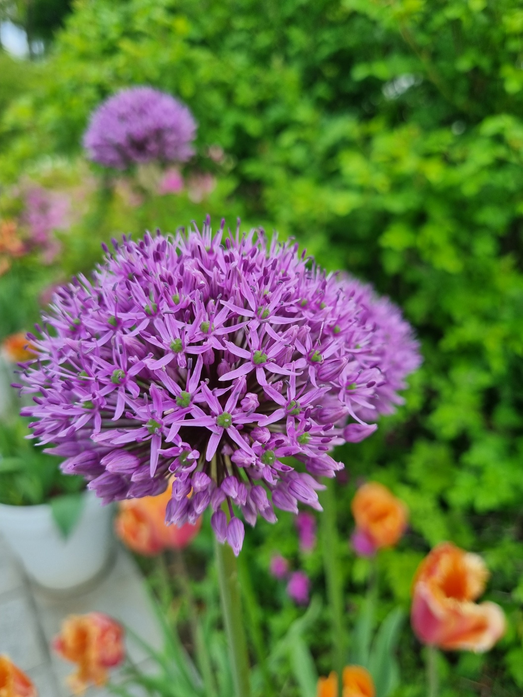 서울식물원 가는길