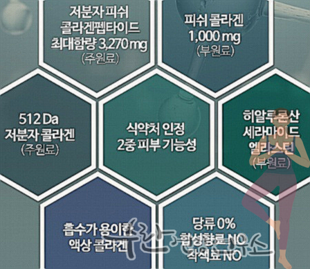 뉴트리코어 콜라겐 담다